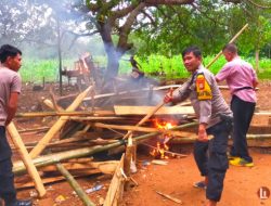 Polsek Bontotiro Bakar Arena Judi Sabung Ayam Di Desa Caramming