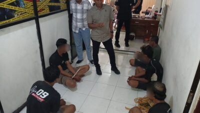 Polisi Ringkus 5 Terduga Pelaku Curnak di Bulukumba, Tiga Ekor Kuda Jadi Barang Bukti